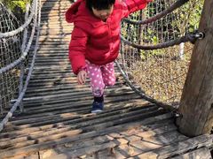 -田园东方蜜桃村的田野营地