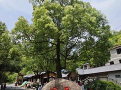 -夏霖九天银瀑风景区