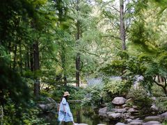 -上海共青森林公园