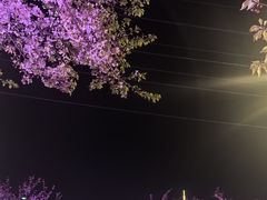 -西北湖绿化广场