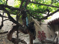 -康百万庄园