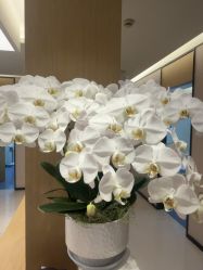 -Yestar杭州艺星医疗美容医院