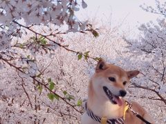 -龙美术馆(西岸馆)