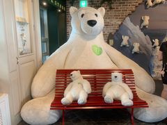 -济州岛泰迪熊博物馆