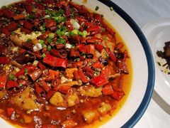 -蜀龙阁· 龍头水煮鱼(天坛店)