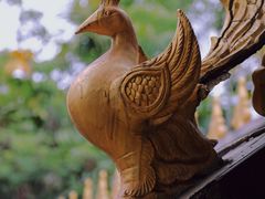 -西双版纳洲际度假酒店兰吧