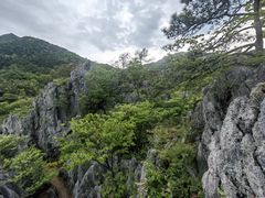 -千岛湖石林