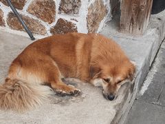 -悦哉·派对·草坪婚礼·围炉煮茶(三圣乡店)