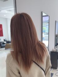 -世田造型