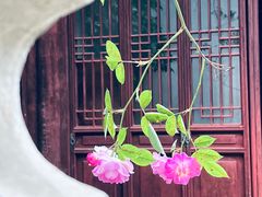-艺圃
