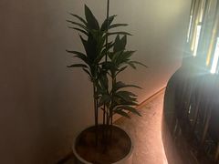 -康道天地(达邦协作广场店)