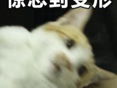 -Dark·大玩家馆沉浸剧情密室(黄埔店)