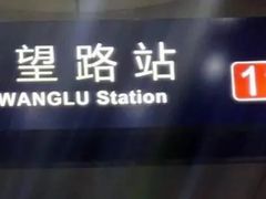 -大望路(地铁站)