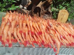 -曲水兰亭(北京四惠店)