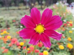 -共青国家森林公园-南大门停车场