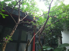 android_upload_pic-北平小院设计酒店