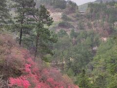 -木兰云雾山
