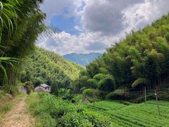 -仙霞关景区