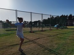 -春花秋色城市公园