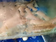 -雅逸居海鲜小厨