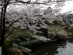 -白马涧龙池景区