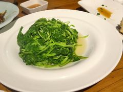 -金枝玉叶上海人家食府(三里河店)