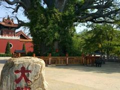 -大槐树寻根祭祖园
