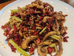 干煸鱿鱼须-渔家风味·鲅鱼水饺·央视展播·海鲜天津菜(开发区店)