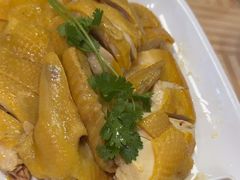 -巫记鸡饭店