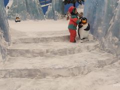 -长沙湘江冰雪世界