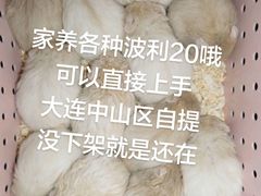 -叶氏兄弟果业(大连鲁迅店)