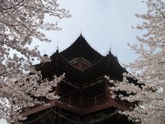 -西安青龙寺遗址景区