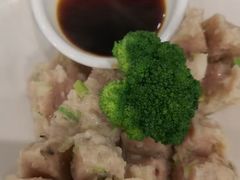 -金龙寨(龙城路店)