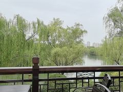 -鹊华居·地道鲁菜·海鲜·融合味(大明湖店)