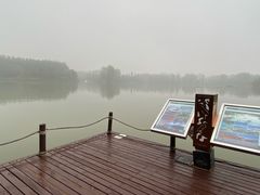 -翠湖国家城市湿地公园