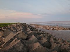 -南汇嘴观海公园