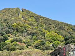 -梧桐山风景名胜区