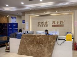 -碧莲盛·不剃发植发