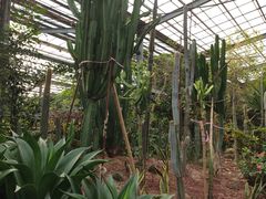 -呀路古热带植物园