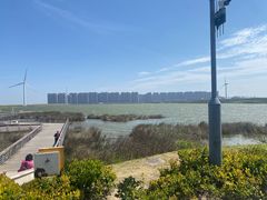 -启东黄金海滩景区