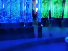 -石家庄海洋公园