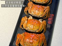 -红盔甲·小龙虾(天钥桥店)