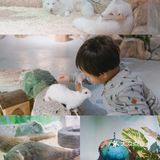 太美了叭🌸帝都首家室内亲子动物园🔥🐑