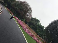 -南宁南湖公园