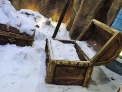 -世界之窗阿尔卑斯冰雪世界