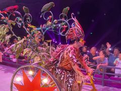 -广州长隆国际大马戏