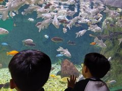 -常州海昌海洋探索馆