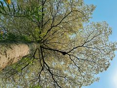 -碧桂园十里银滩