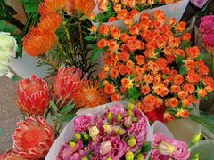 -双季花艺园艺市场(浦东店)