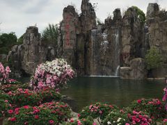 -秀丽东方